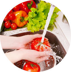 imatge-seguretat-alimentaria