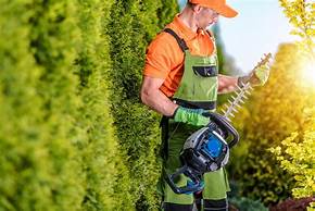 Oferta d’oficial de jardineria amb experiència.
